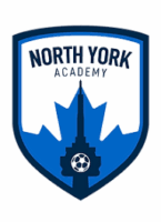N York Academy