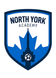 N York Academy